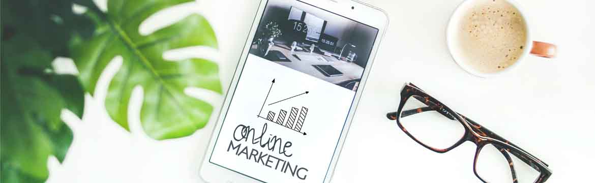 What are the Basics of Digital Marketing to Explore in this Marketing Campaign?